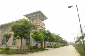 水果视频网站新材厂房车间
